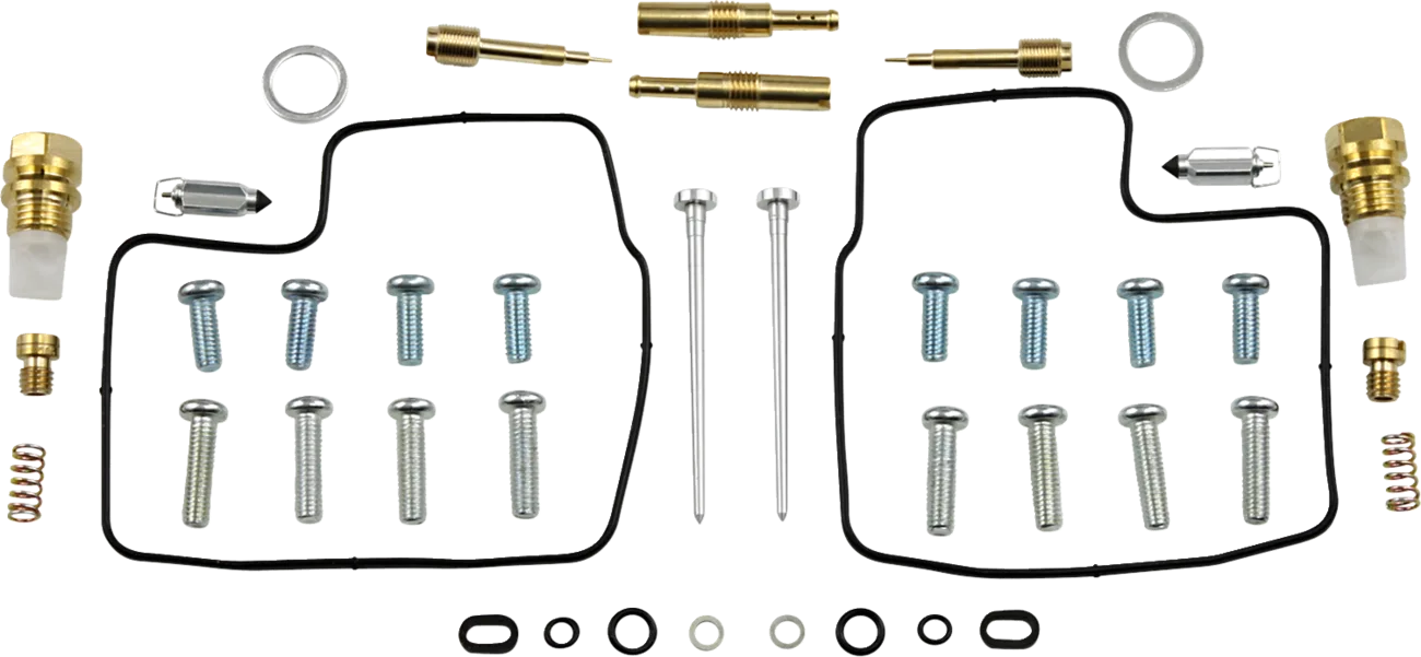 Carburetor Repair Kit