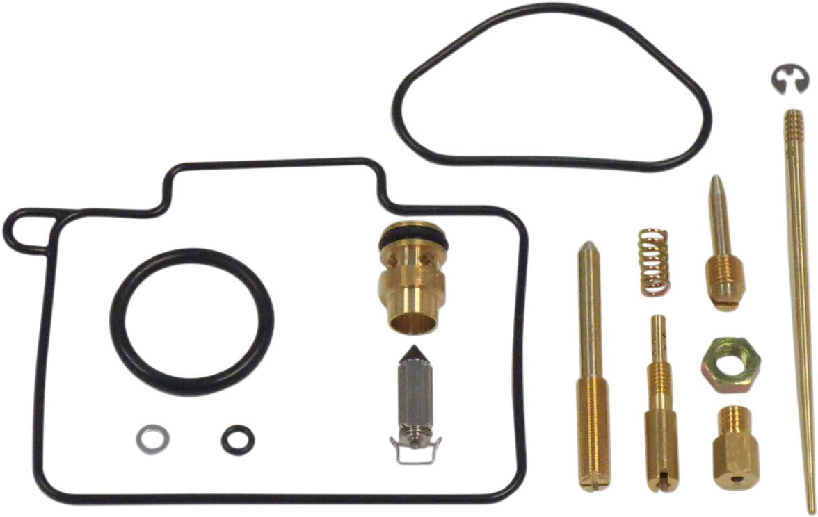 Carburetor Repair Kit