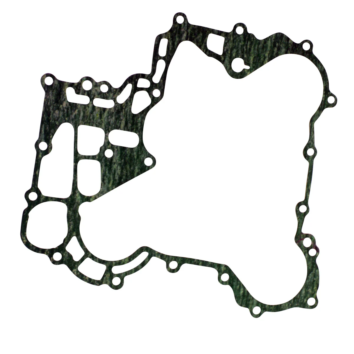 Stator Crankcase Cover