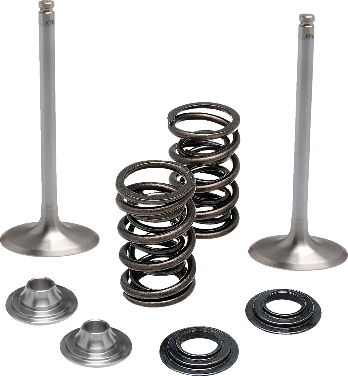 Intake Stainless Conversion Valve and Spring Kit