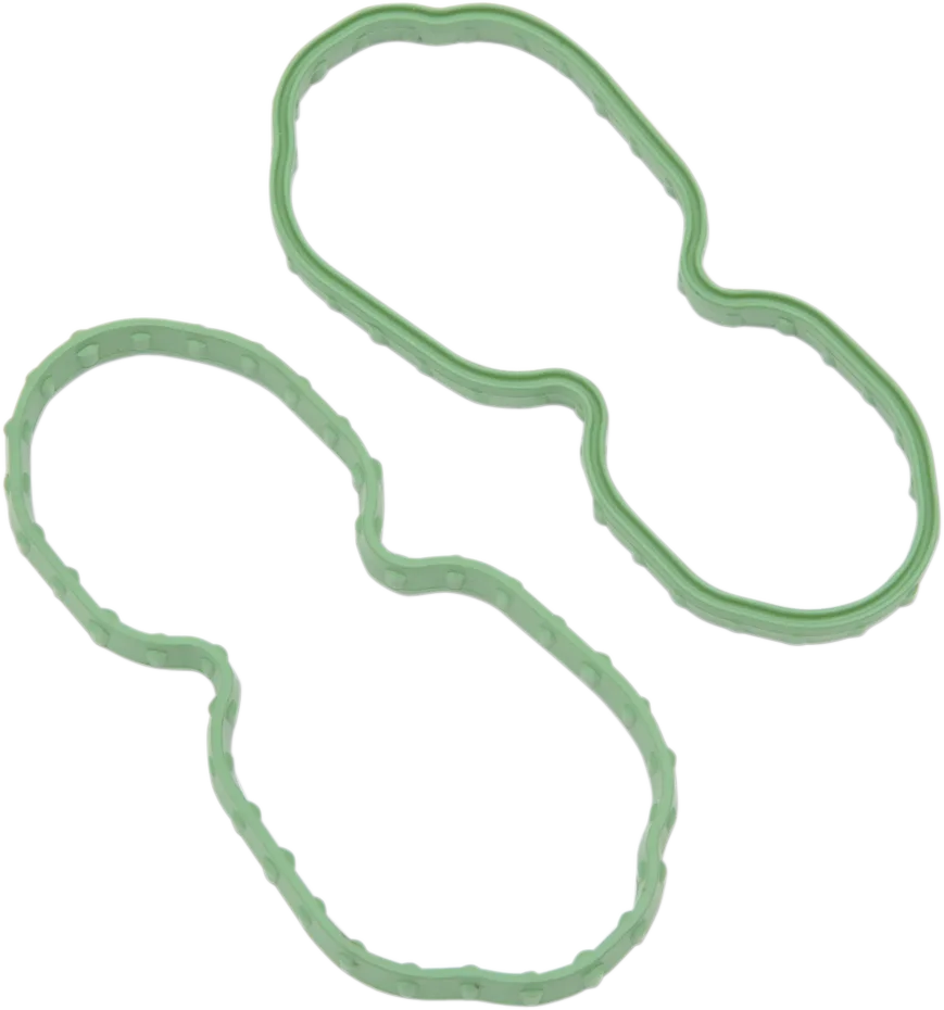 Fuel Pump Door Seal