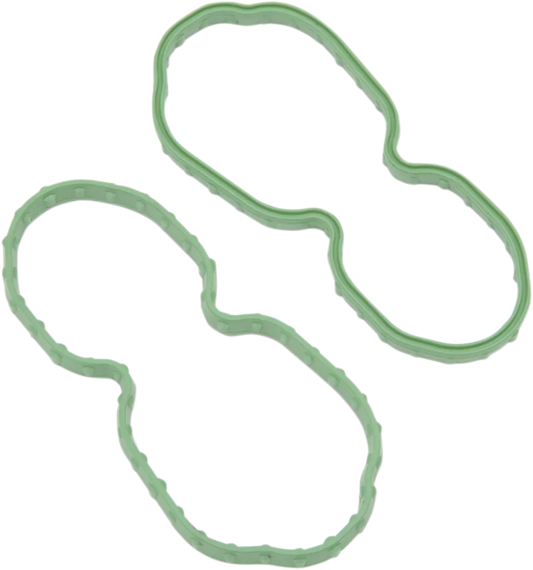 Fuel Pump Door Seal