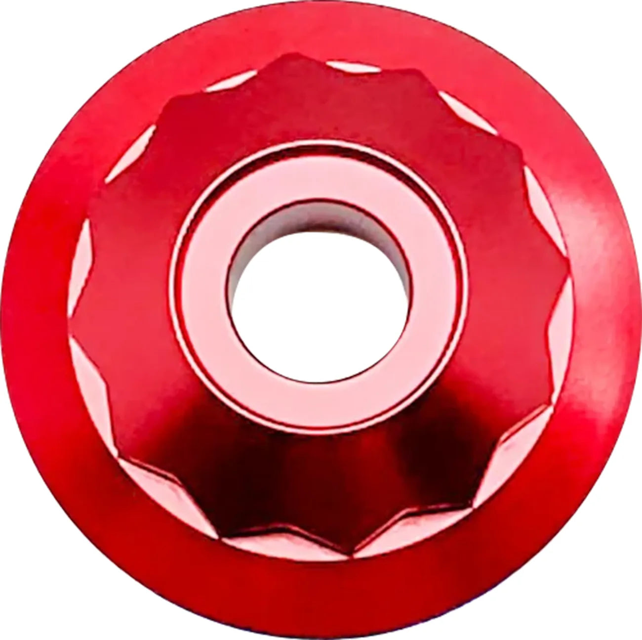 Steering Stem Nuts