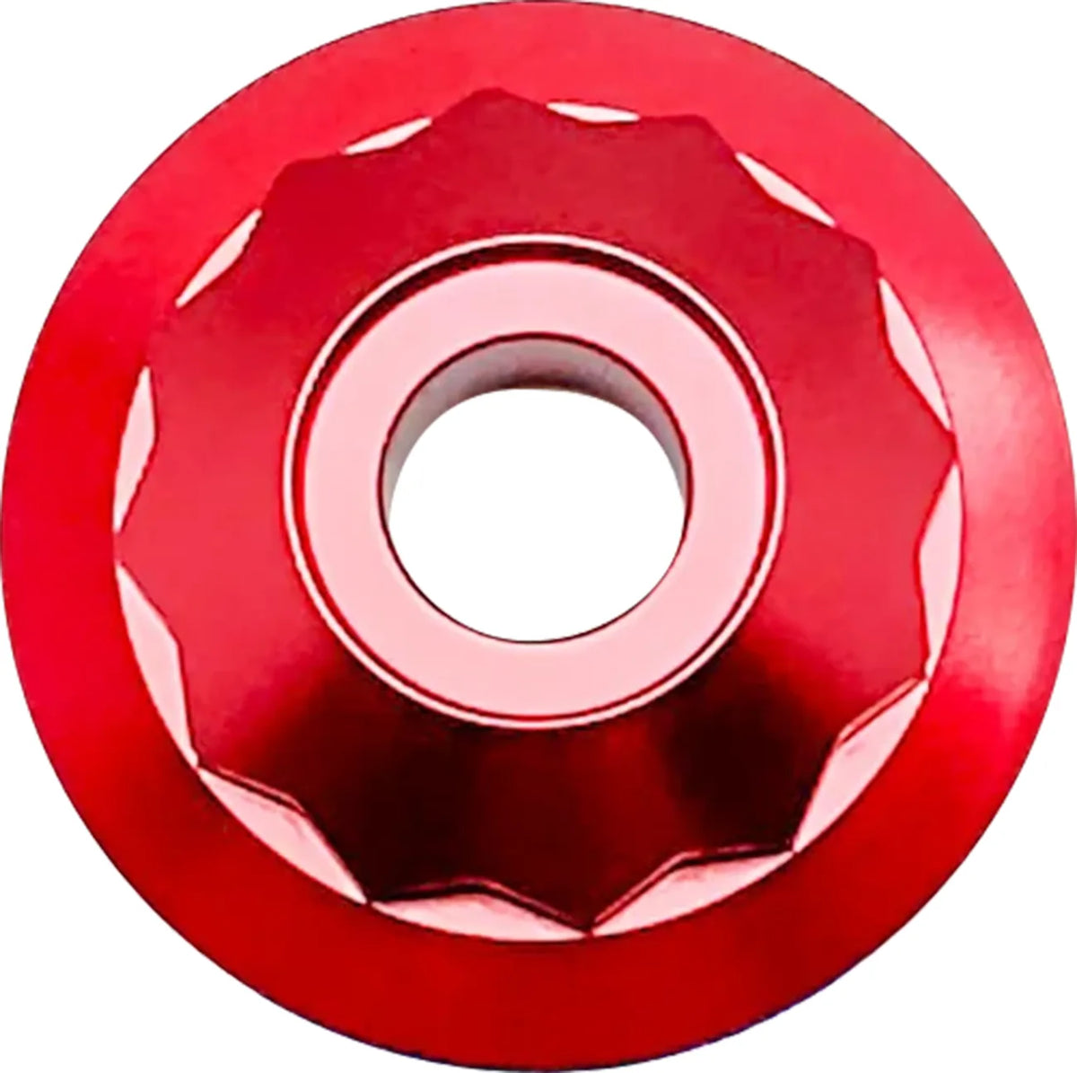 Steering Stem Nuts