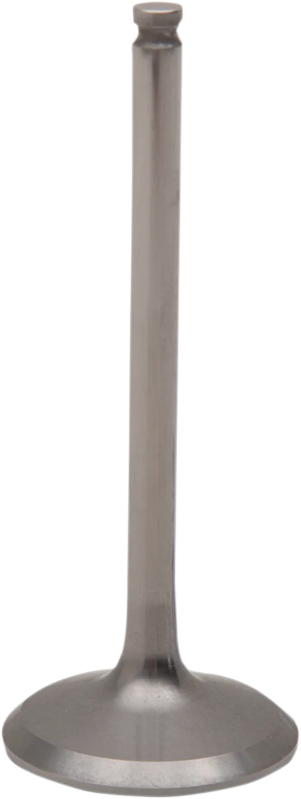 Titanium Engine Valve