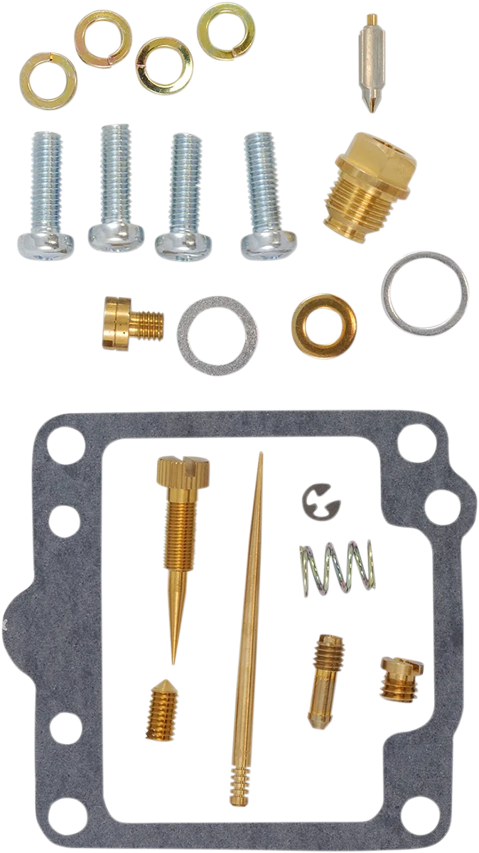 Carburetor Repair Kit
