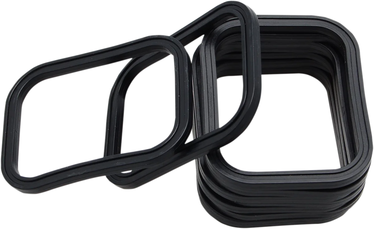 Rocker Gasket