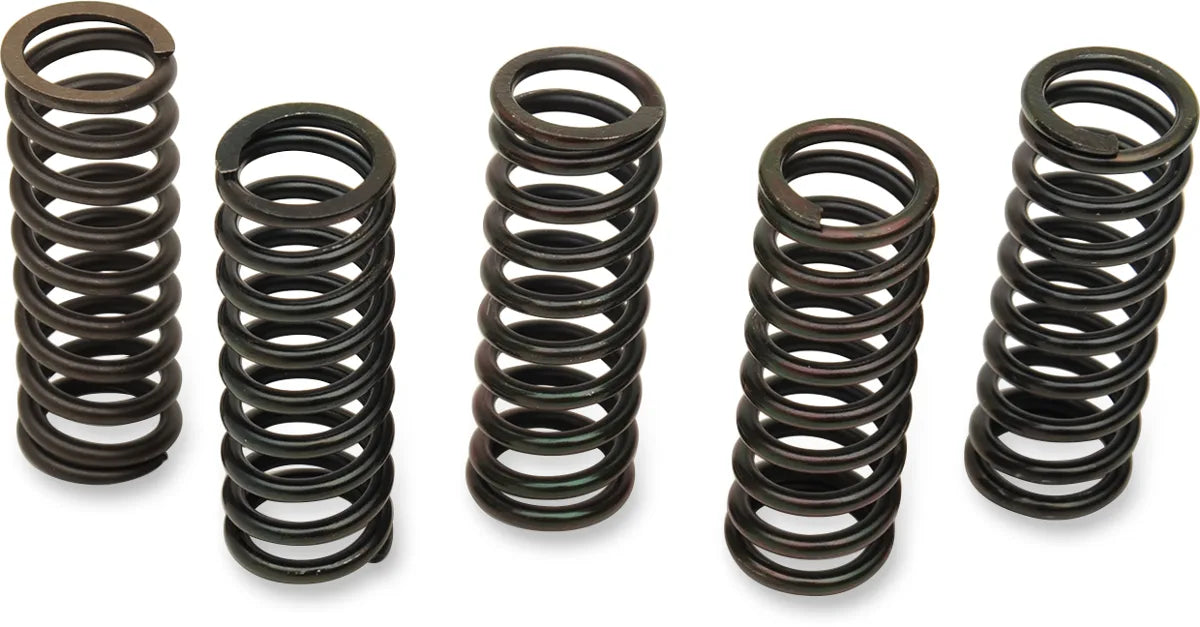Clutch Spring Kit