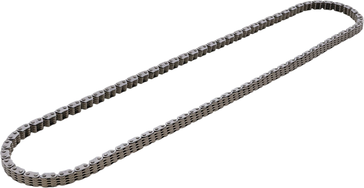 Cam Chain