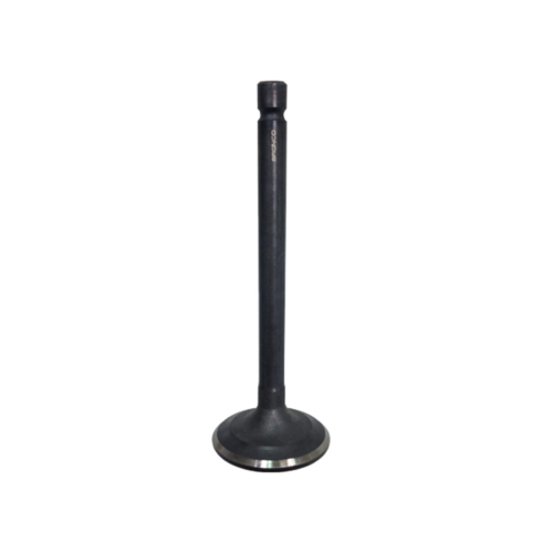 Intake Valve