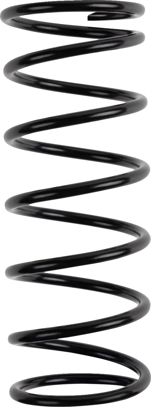Polaris Primary Clutch Spring