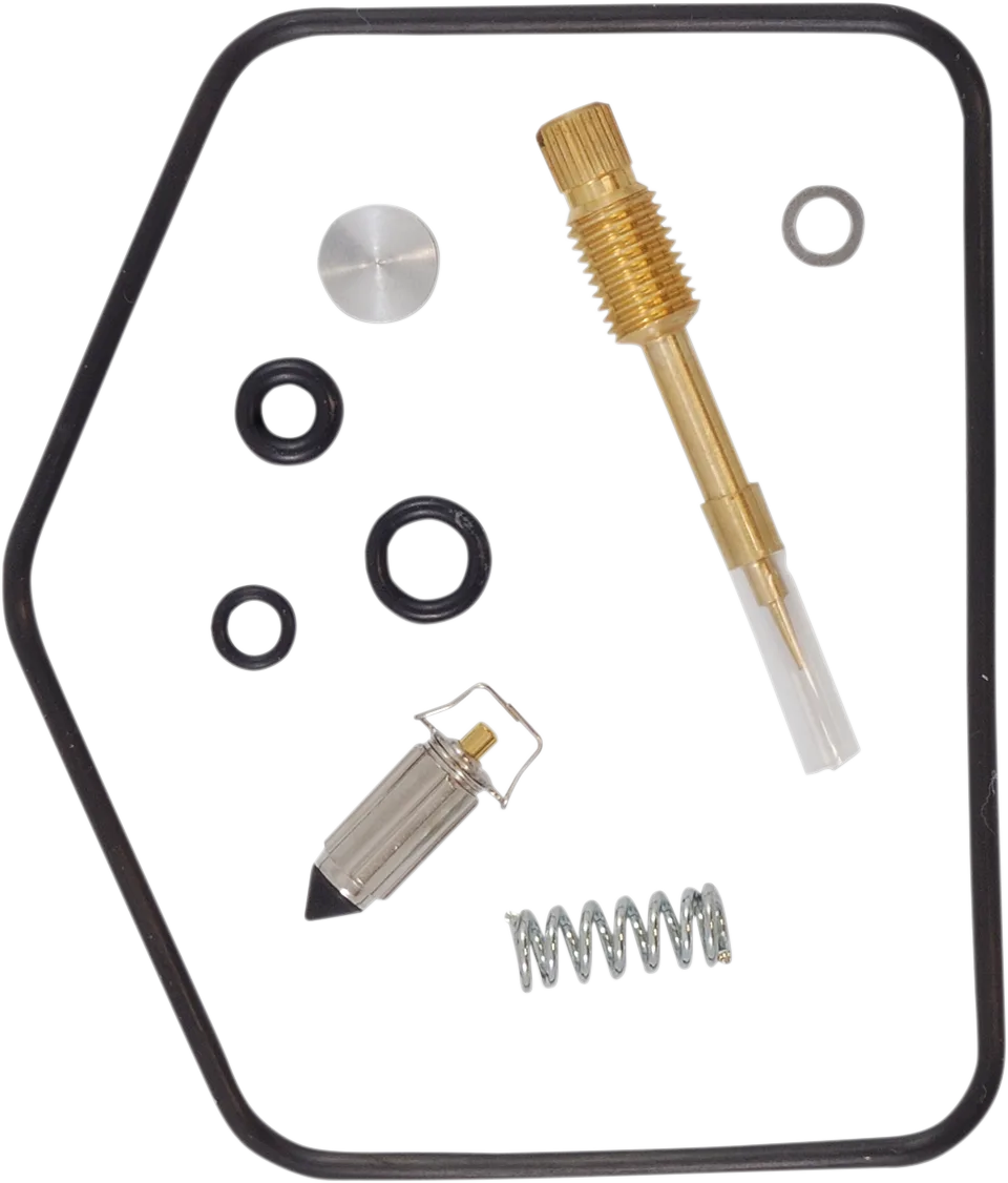 Carburetor Repair Kit