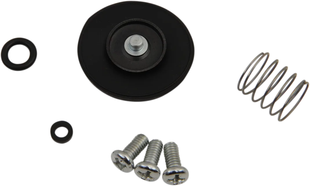Accelerator Pump Rebuild Kit