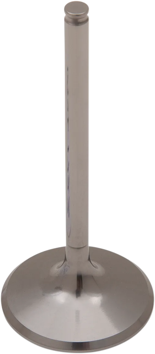 Titanium Engine Valve