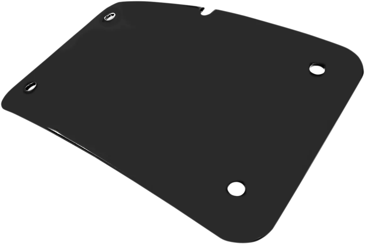 3-Hole License Plate Mount
