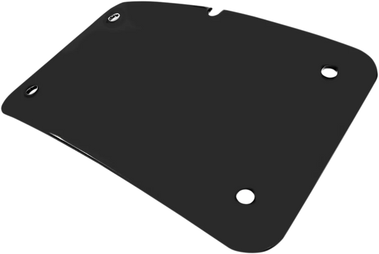 3-Hole License Plate Mount