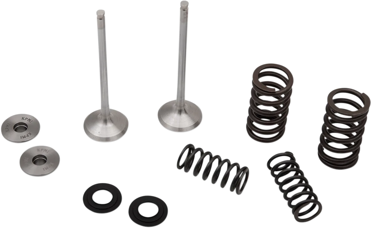 Exhaust Valve and Spring Kit