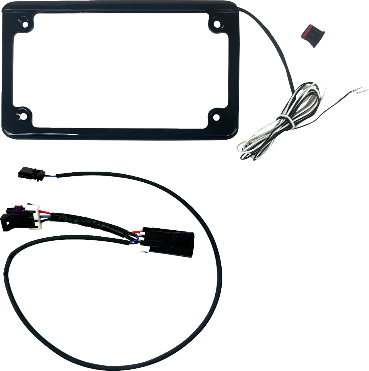 License Plate Frame with Tag Illumination