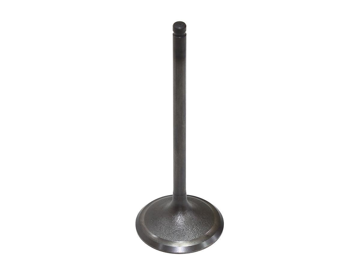 Intake Valve