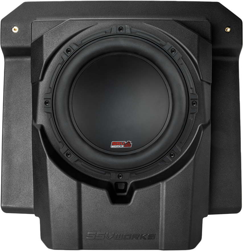 Ssv 10" Subwoofer And Box