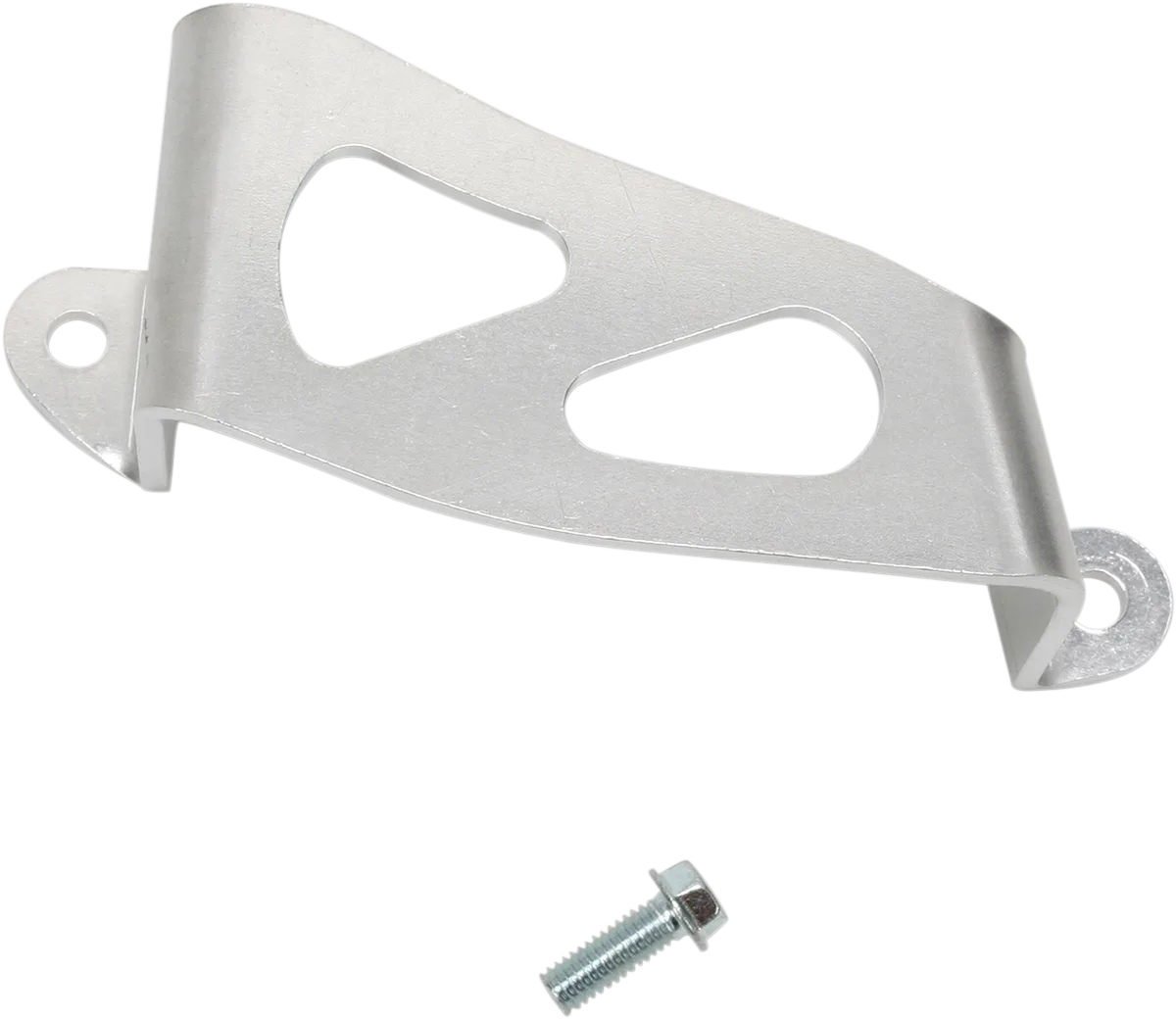 Aluminum Rear Caliper Guard