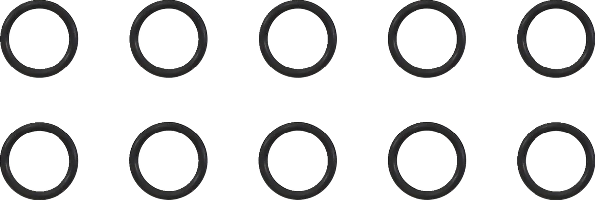 Cylinder Base and Dowel Case O-Ring