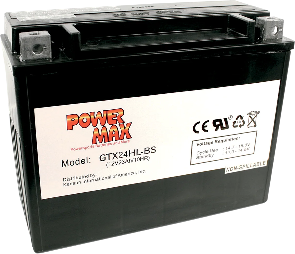 Maintenance-Free Battery