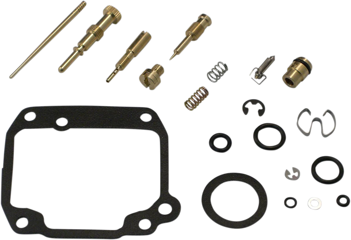 Carburetor Repair Kit