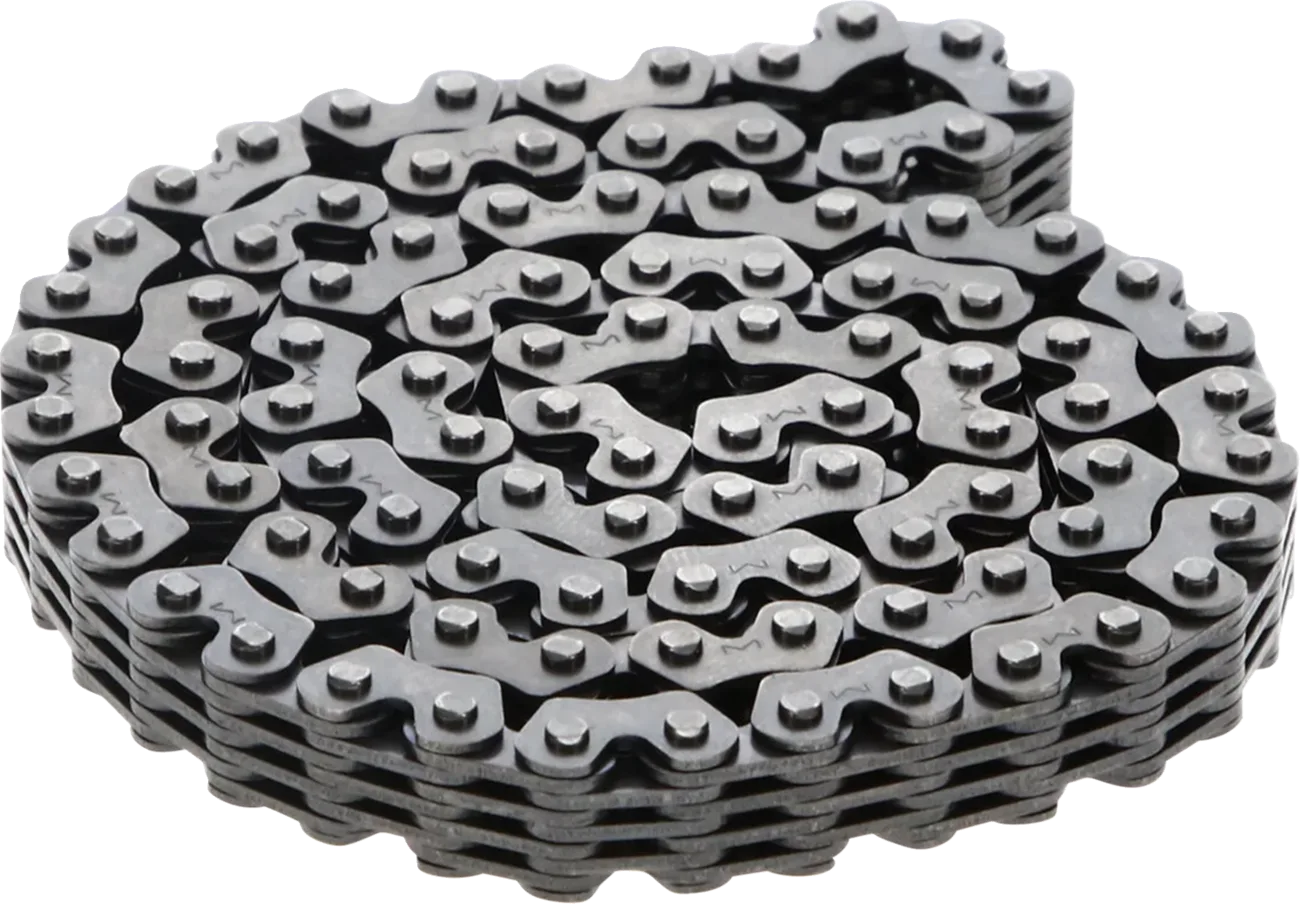 Cam Chain