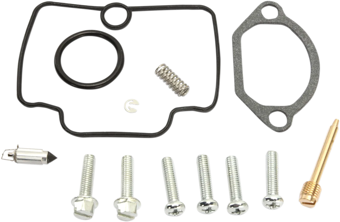 Carburetor Repair Kit