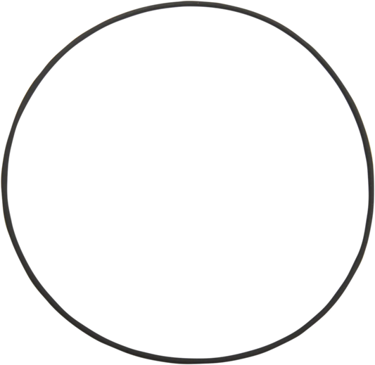 Cam Cover O-Ring