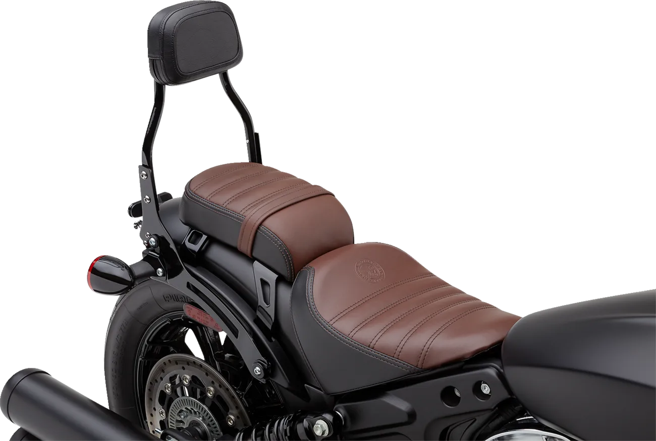 Detachable Mini Backrest