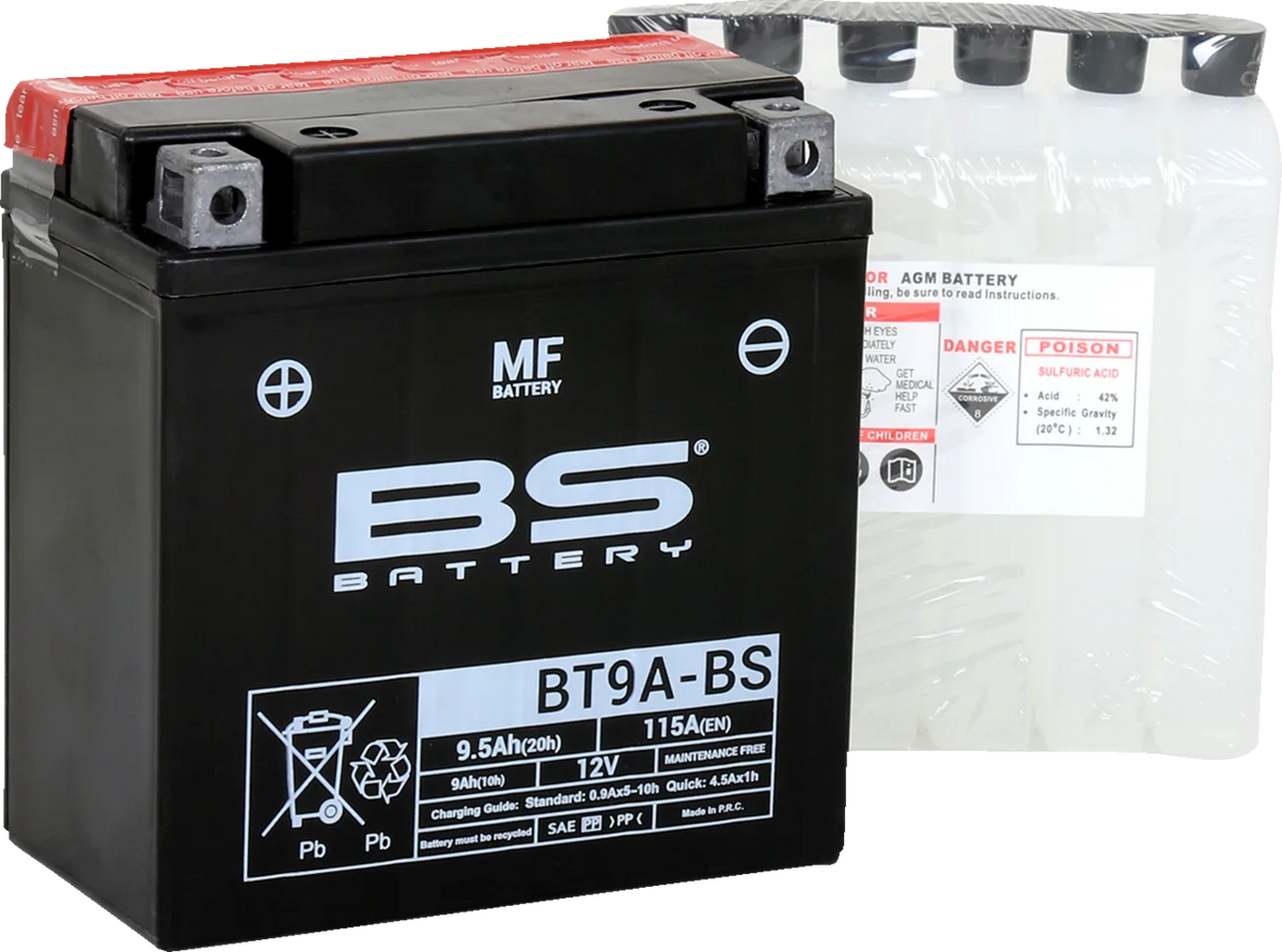 Maintenance-Free Battery