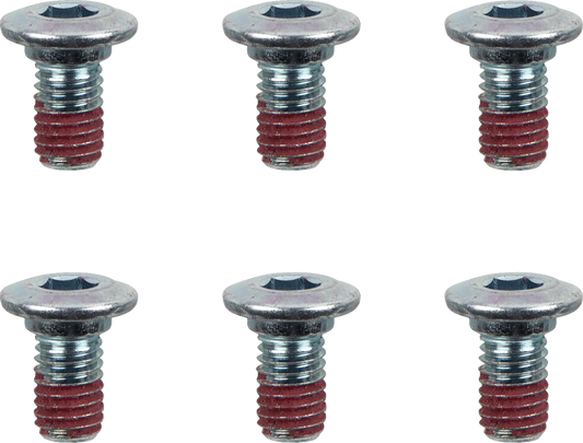 Brake Rotor Bolts