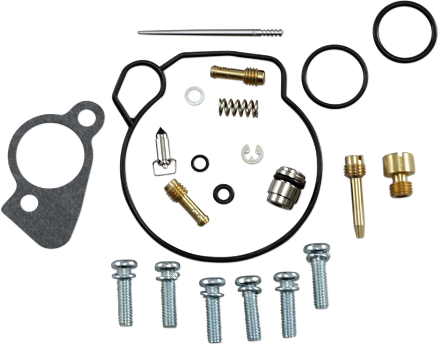 Carburetor Repair Kit