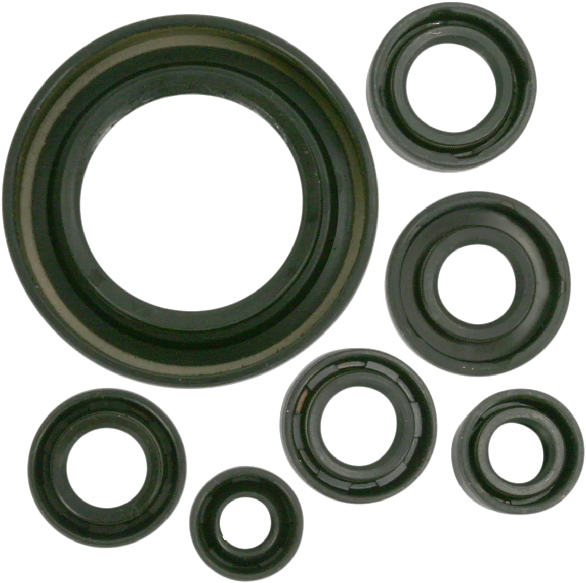 Motor Oil Seals
