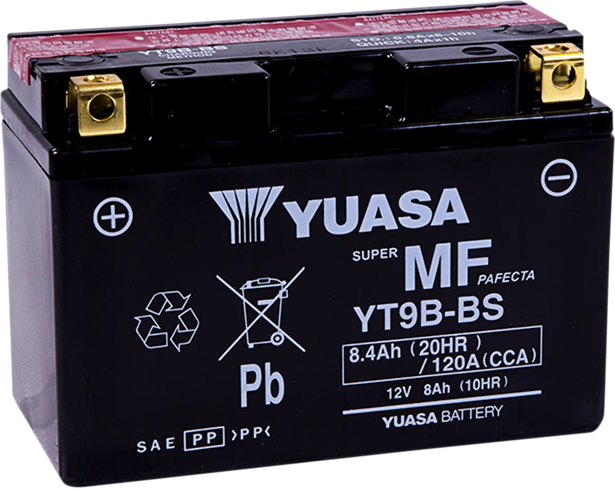 AGM Maintenance-Free Battery