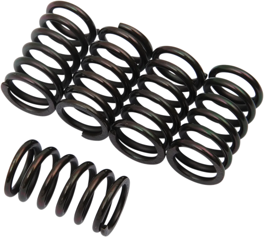 Clutch Spring Kit