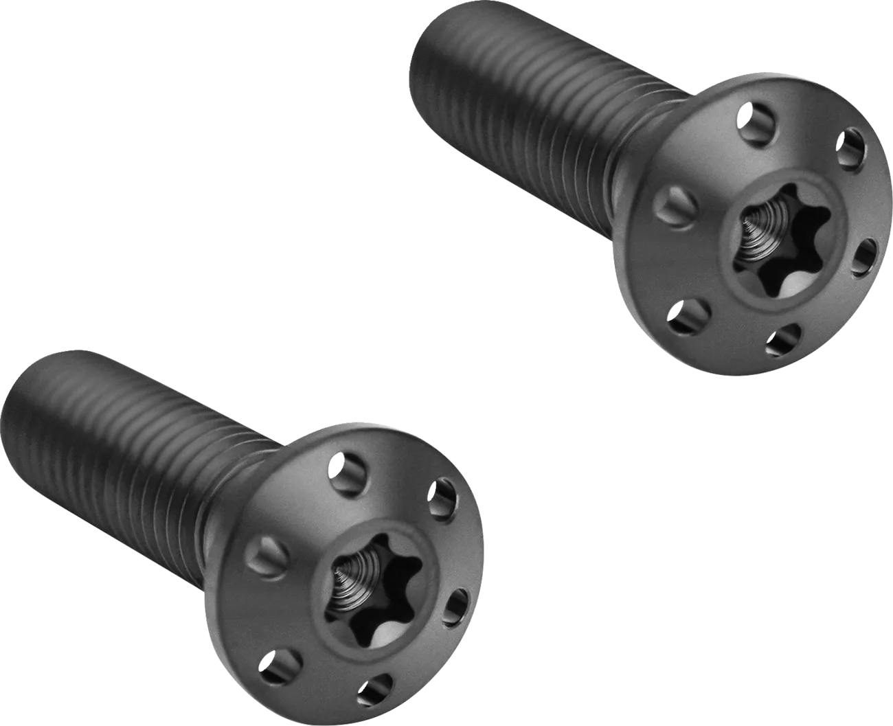 Brake Caliper Mounting Bolts