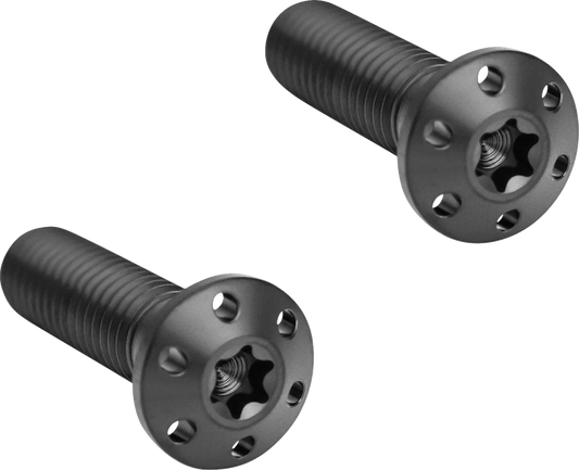Brake Caliper Mounting Bolts