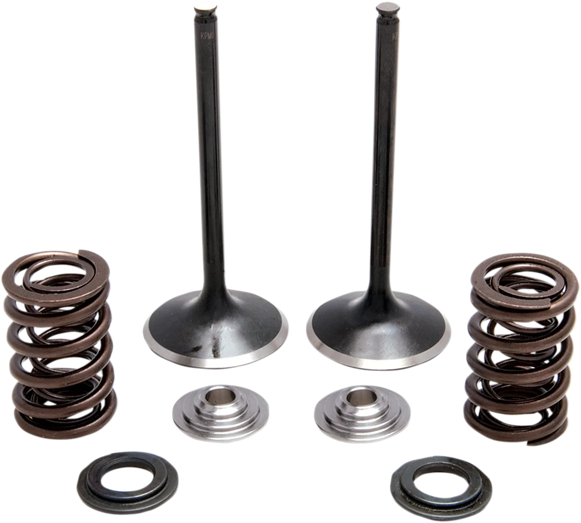 Intake Stainless Conversion Valve and Spring Kit