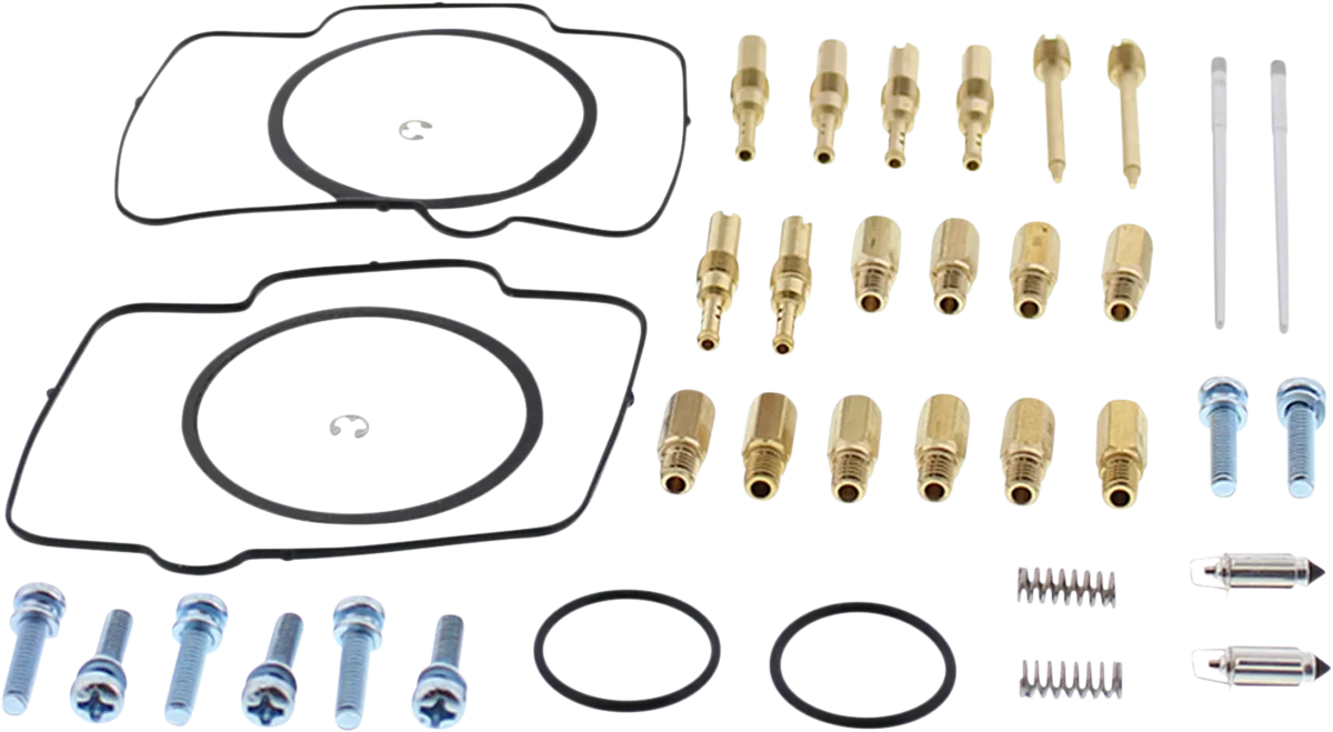 Carburetor Repair Kit