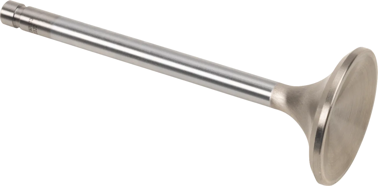 Replacement Stainless Steel Valves for S&S Heads