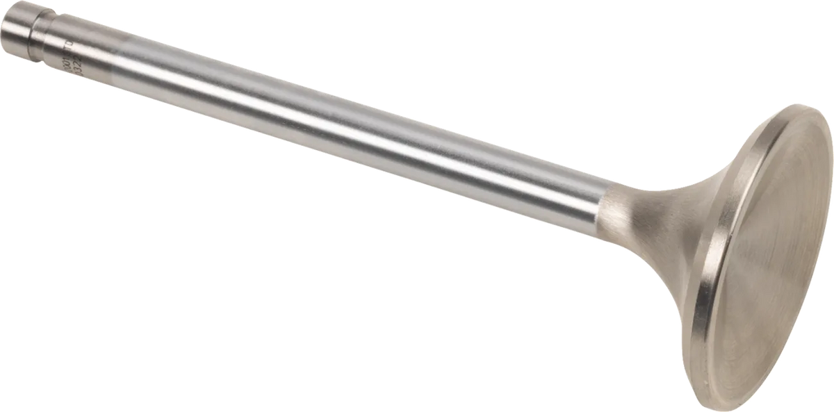 Replacement Stainless Steel Valves for S&S Heads