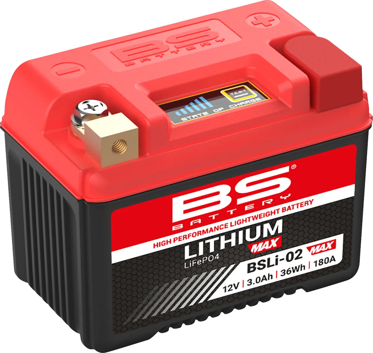 Lithium Max LiFePO4 Battery