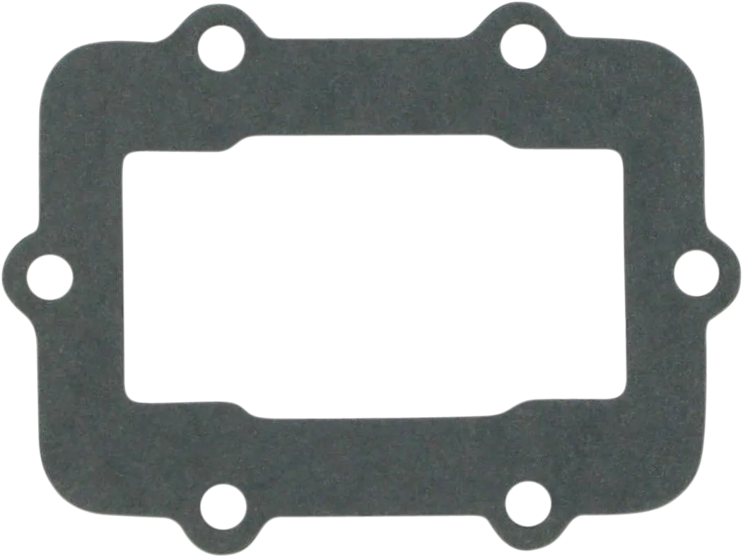 Reed Gasket