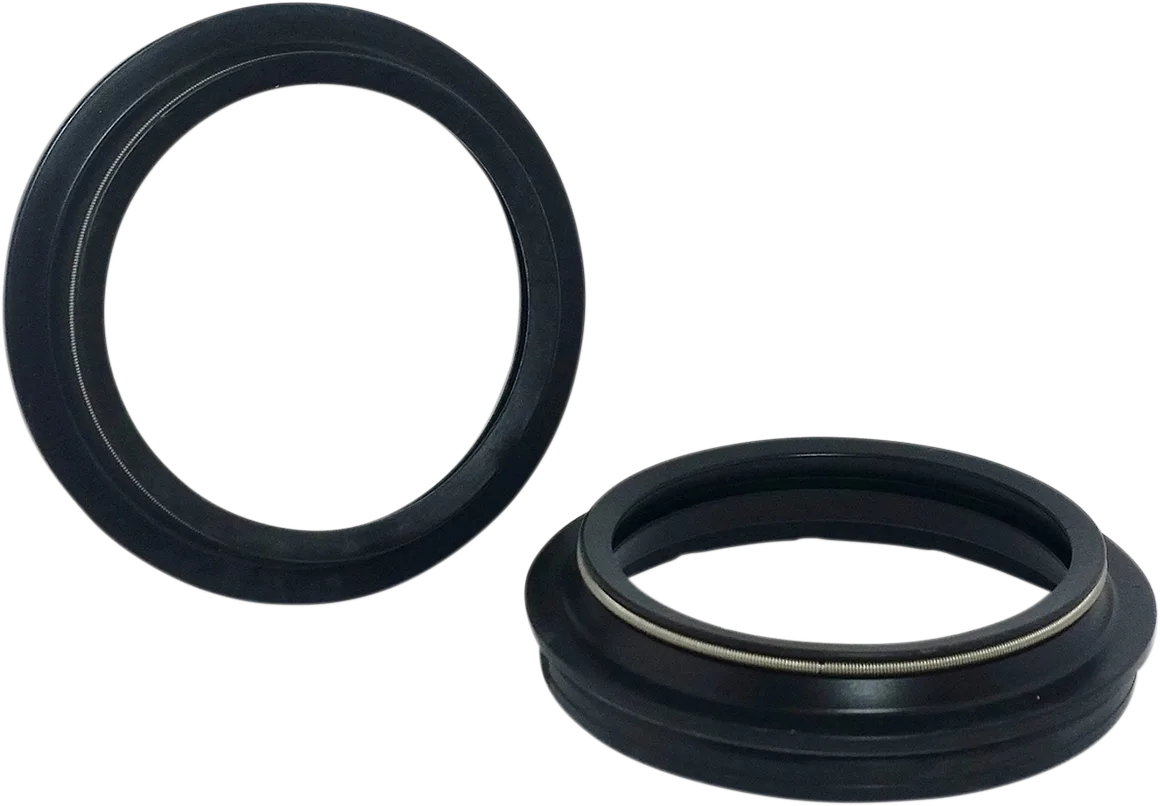 Dust Seal