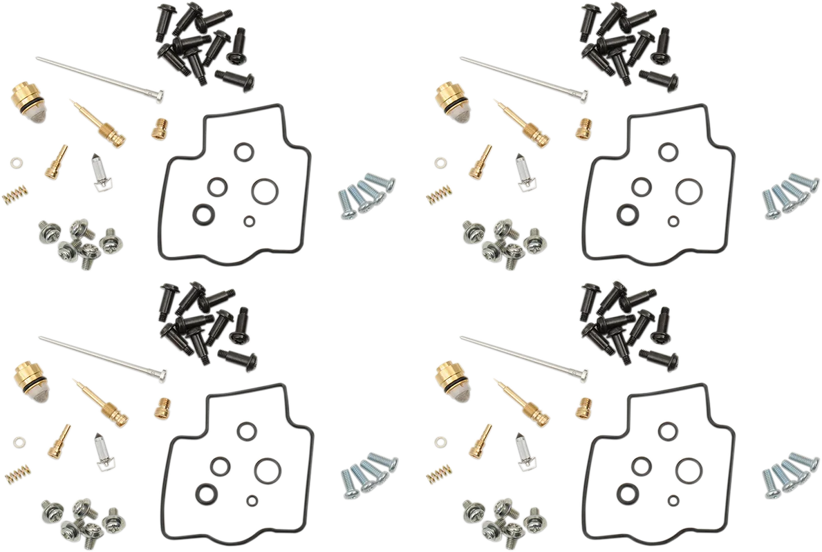 Carburetor Repair Kit