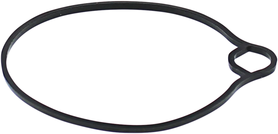 Replacement Float Bowl Gasket