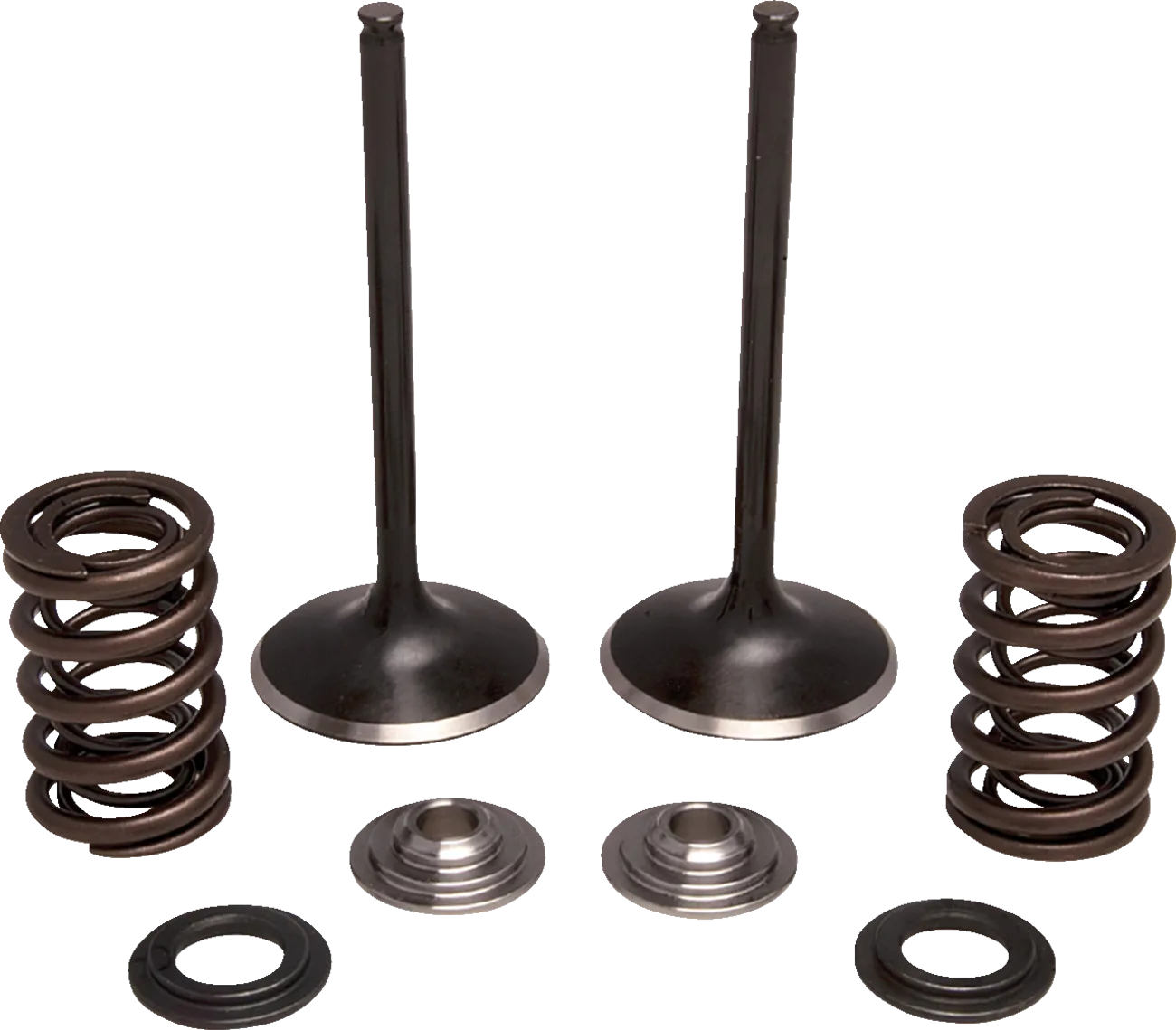 Valve and Spring Kit